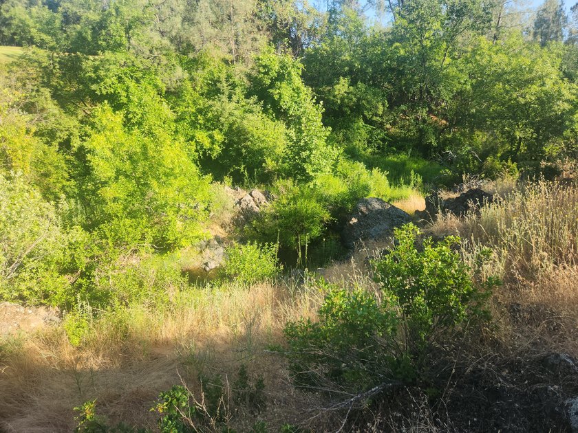 Located across the creek from Tierra Oaks, this level two acre - photo 10
