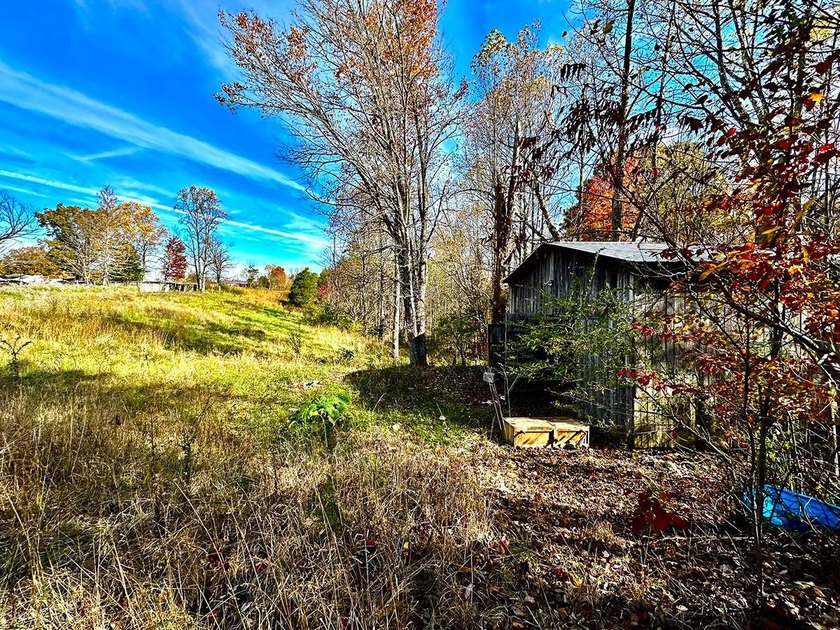 A 21.58 Acre property in Pulaski County with HUGE Potential! - photo 16