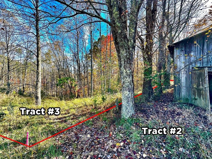 A 21.58 Acre property in Pulaski County with HUGE Potential! - photo 17