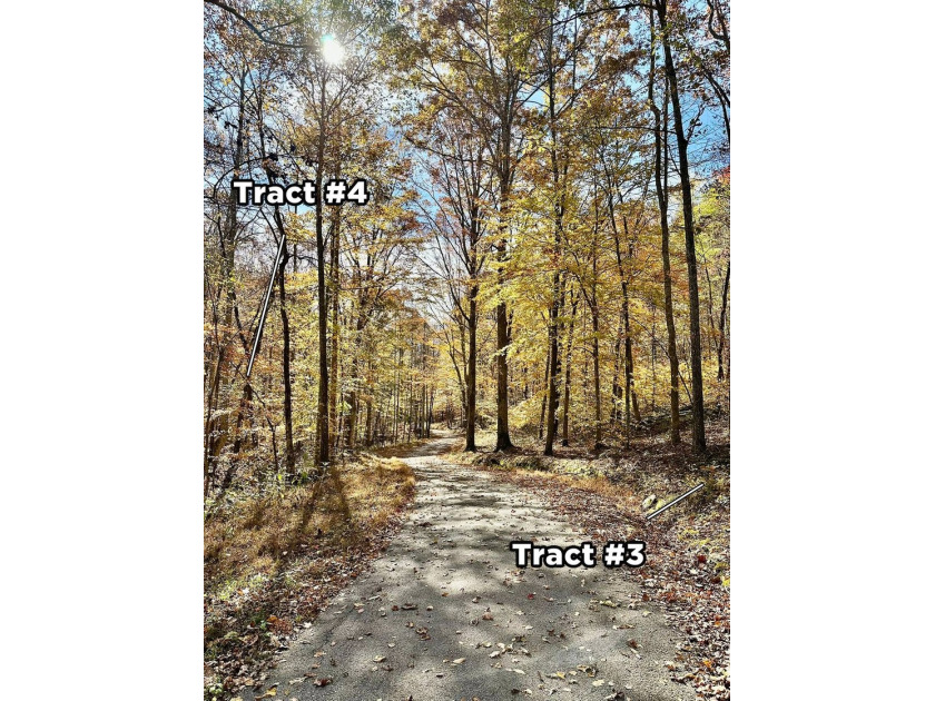 A 21.58 Acre property in Pulaski County with HUGE Potential! - photo 21