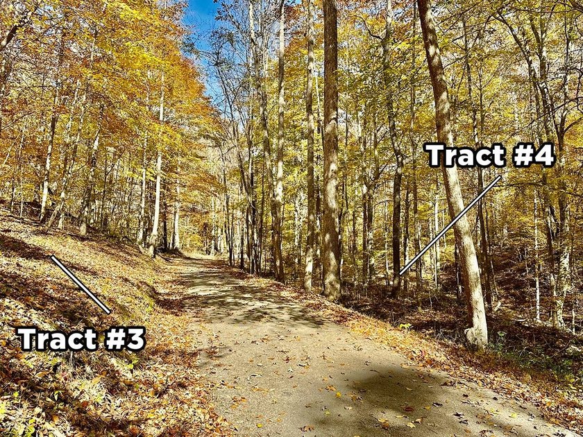 A 21.58 Acre property in Pulaski County with HUGE Potential! - photo 22
