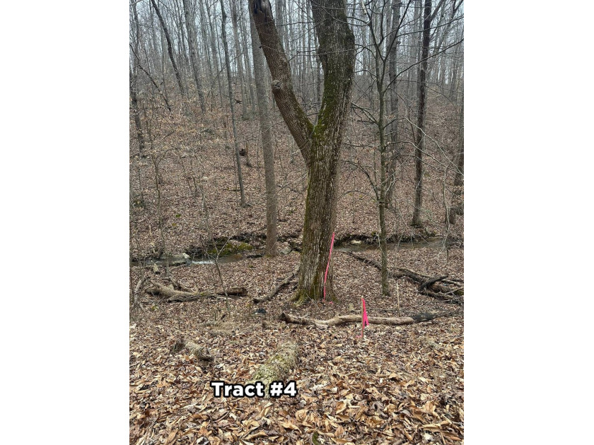 A 21.58 Acre property in Pulaski County with HUGE Potential! - photo 25