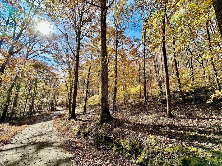 A 21.58 Acre property in Pulaski County with HUGE Potential! - photo 31