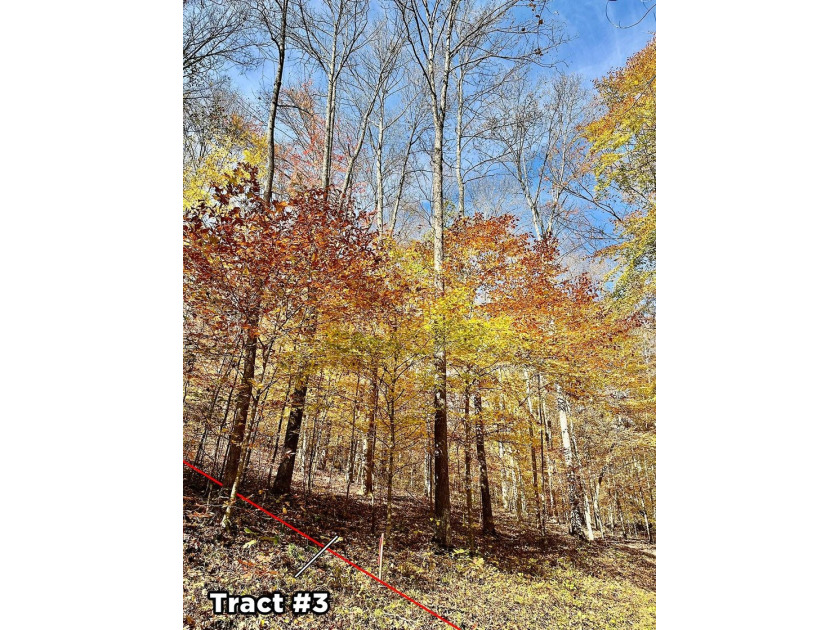 A 21.58 Acre property in Pulaski County with HUGE Potential! - photo 32