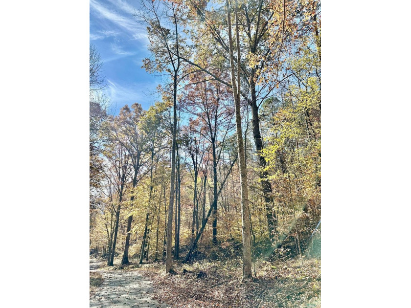 A 21.58 Acre property in Pulaski County with HUGE Potential! - photo 36