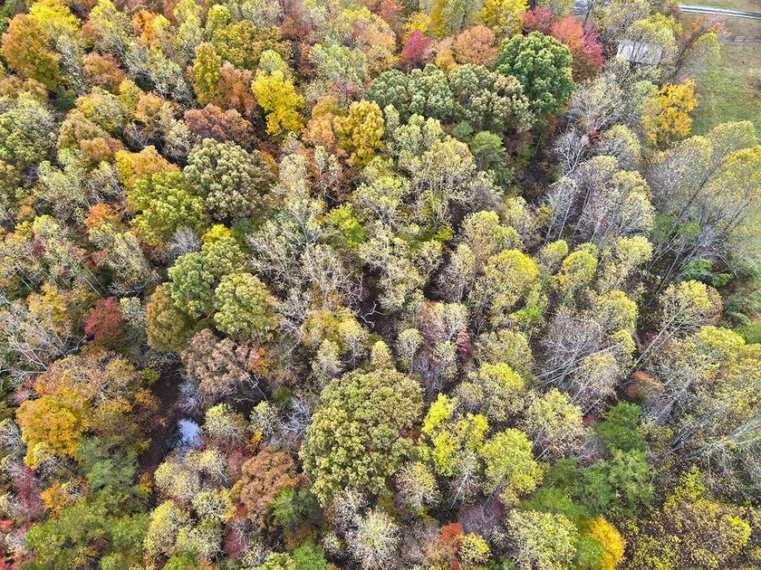 A 21.58 Acre property in Pulaski County with HUGE Potential! - photo 37