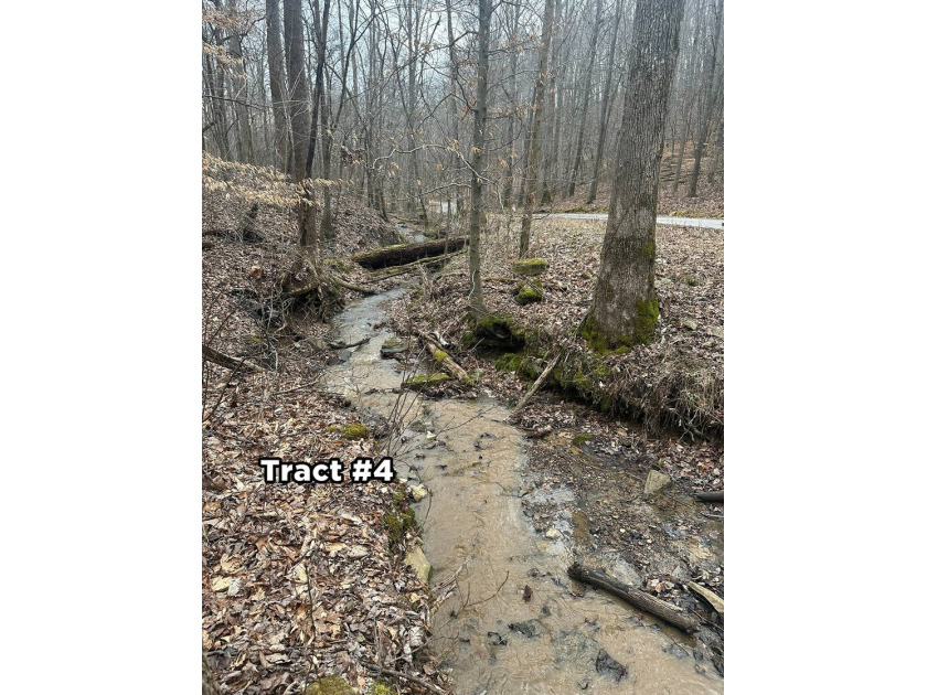 A 21.58 Acre property in Pulaski County with HUGE Potential! - photo 40