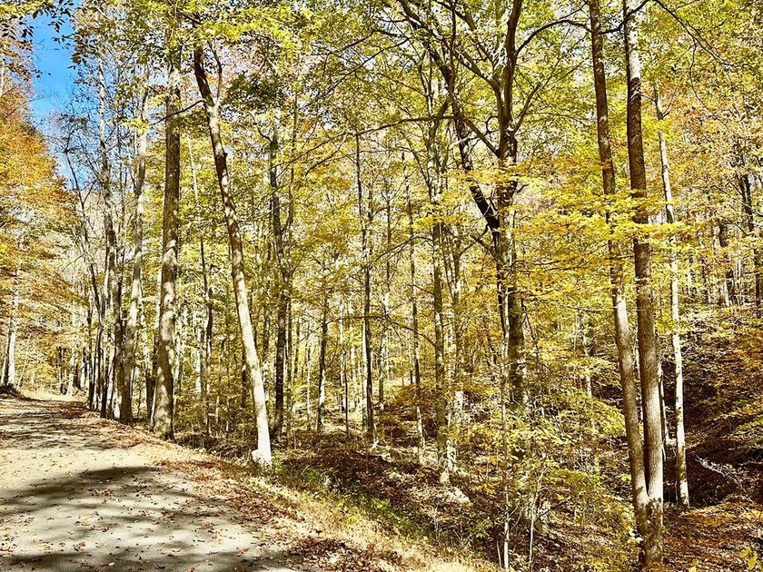 A 21.58 Acre property in Pulaski County with HUGE Potential! - photo 42