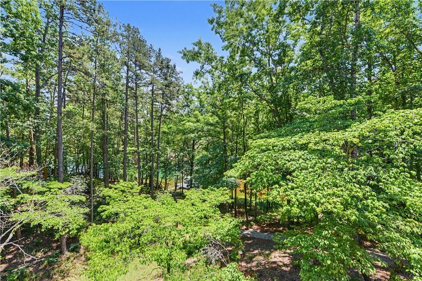 Enjoy The Keowee Life at 9 Rip Tide Ct. with direct water access - photo 25