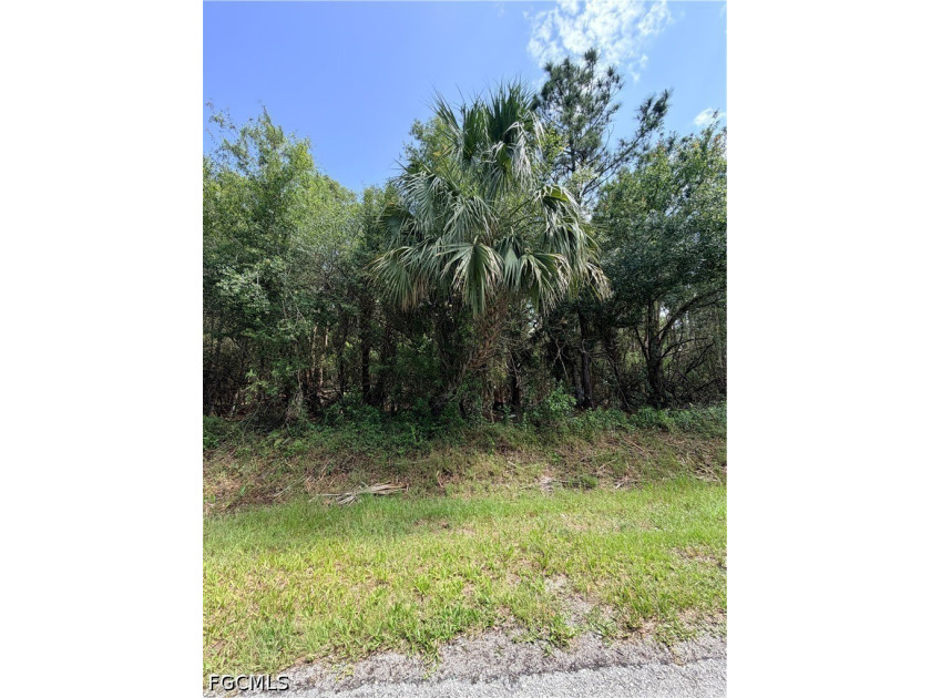 Perfect location. Easy access to Immokalee, Ave Maria, Arthrex - photo 5
