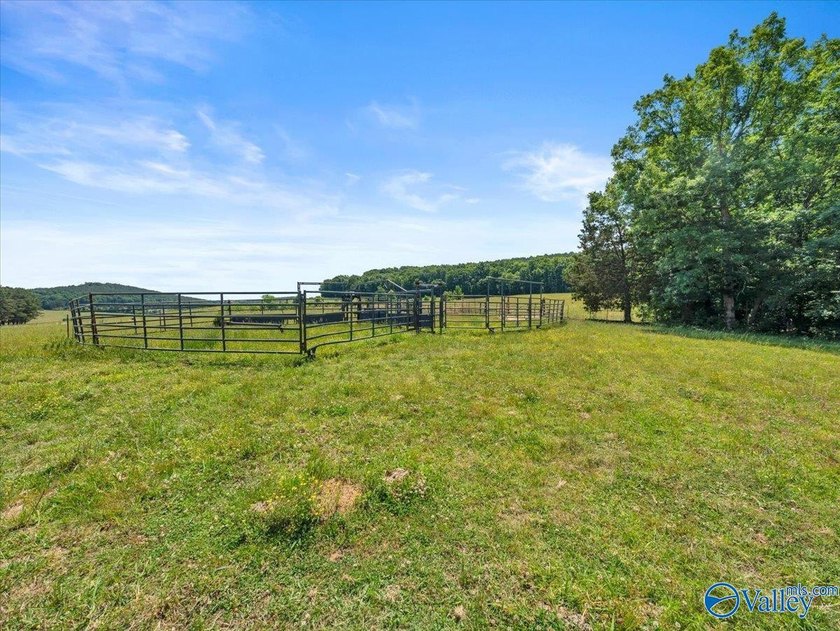 Exceptional 89+/- acre farm in Cherokee, AL featuring - photo 17