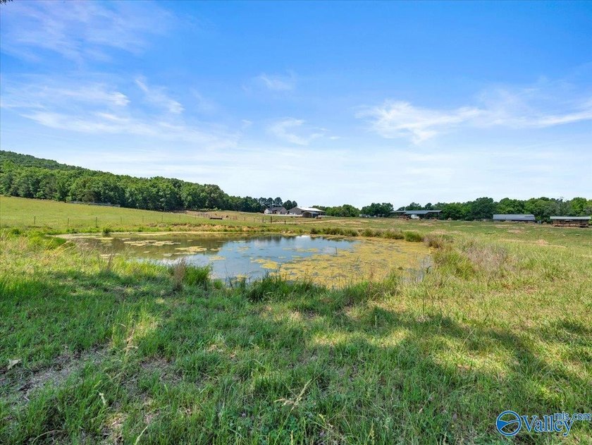 Exceptional 89+/- acre farm in Cherokee, AL featuring - photo 18