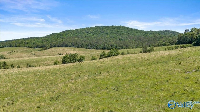 Exceptional 89+/- acre farm in Cherokee, AL featuring - photo 20