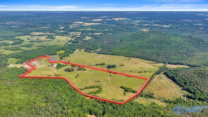 Exceptional 89+/- acre farm in Cherokee, AL featuring - photo 28