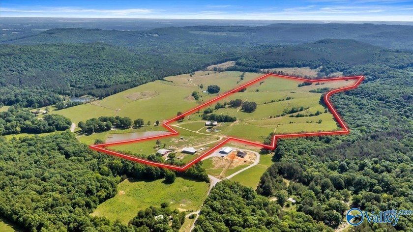 Exceptional 89+/- acre farm in Cherokee, AL featuring - photo 29