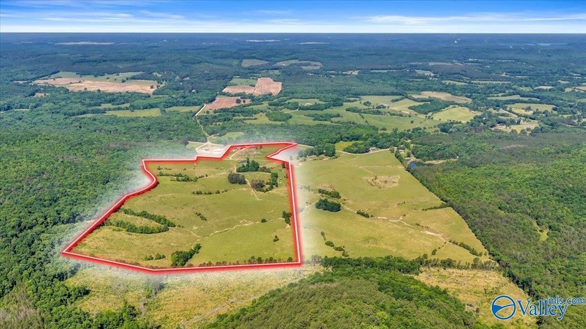 Exceptional 89+/- acre farm in Cherokee, AL featuring - photo 30