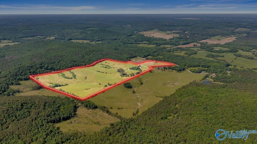Exceptional 89+/- acre farm in Cherokee, AL featuring - photo 31