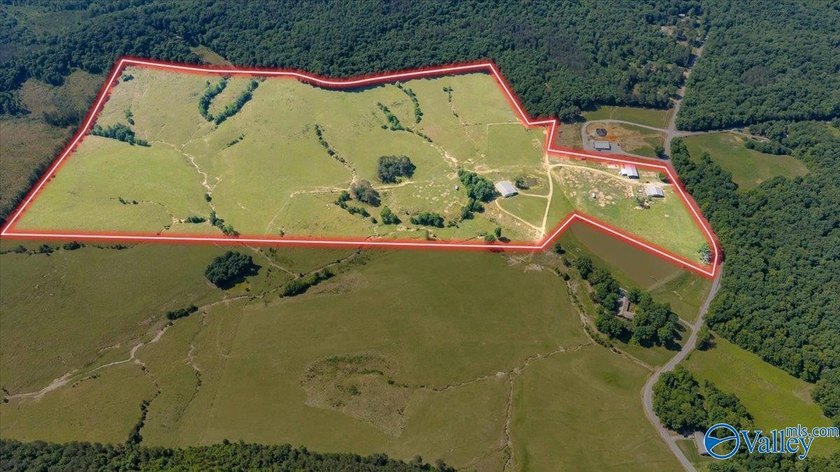 Exceptional 89+/- acre farm in Cherokee, AL featuring - photo 32