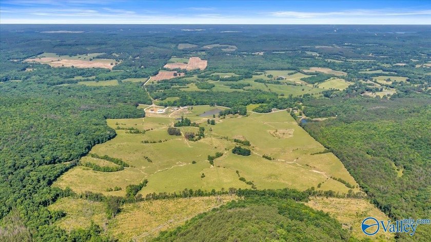 Exceptional 89+/- acre farm in Cherokee, AL featuring - photo 33