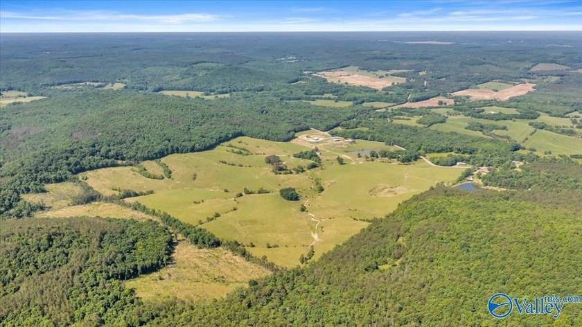 Exceptional 89+/- acre farm in Cherokee, AL featuring - photo 34
