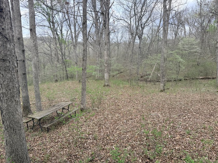 This is beautiful place here in Camden county Mo!! 41.64 acres - photo 15