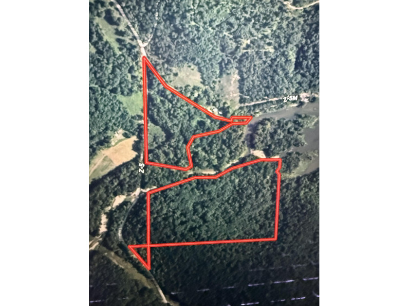 This is beautiful place here in Camden county Mo!! 41.64 acres - photo 19