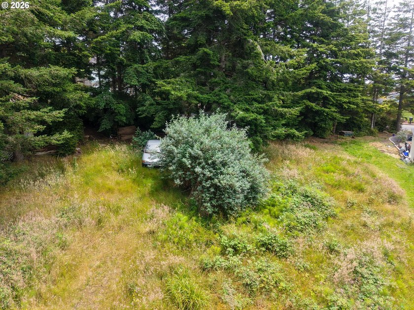 Ocean and bay view lot with utilities already in place! This - photo 11
