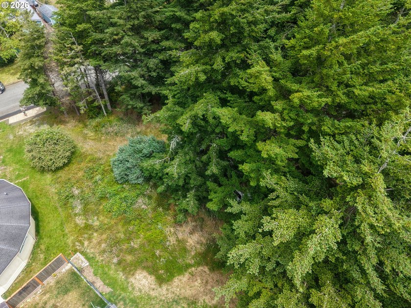 Ocean and bay view lot with utilities already in place! This - photo 14