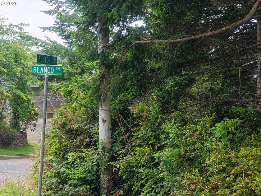 Ocean and bay view lot with utilities already in place! This - photo 15