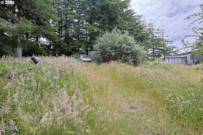 Ocean and bay view lot with utilities already in place! This - photo 17