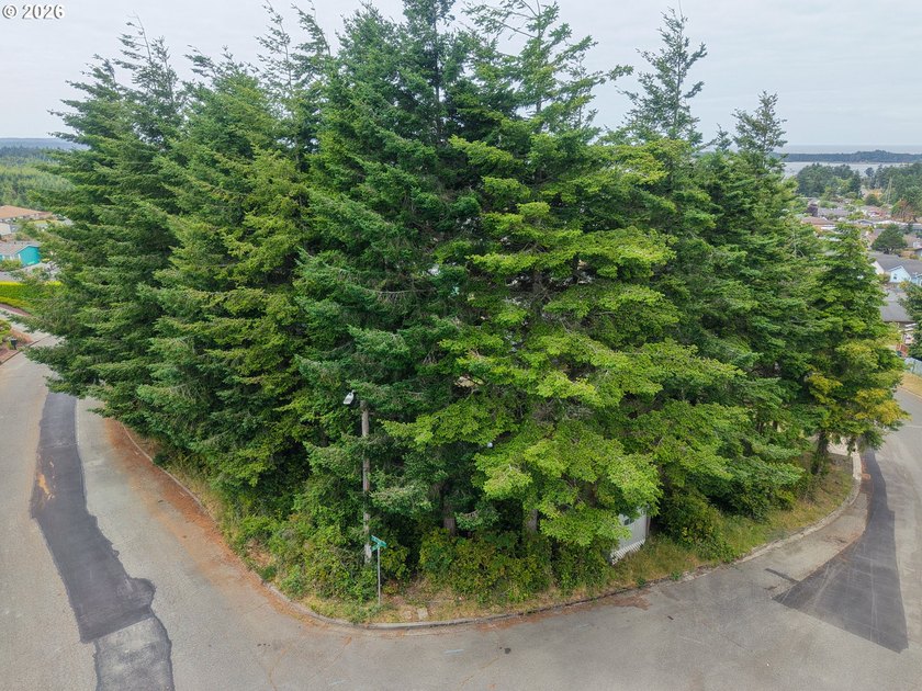Ocean and bay view lot with utilities already in place! This - photo 18