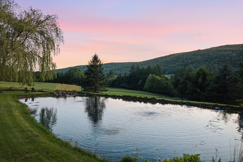 Perchee sur la colline Spring Hill, cette propriete privee - photo 4