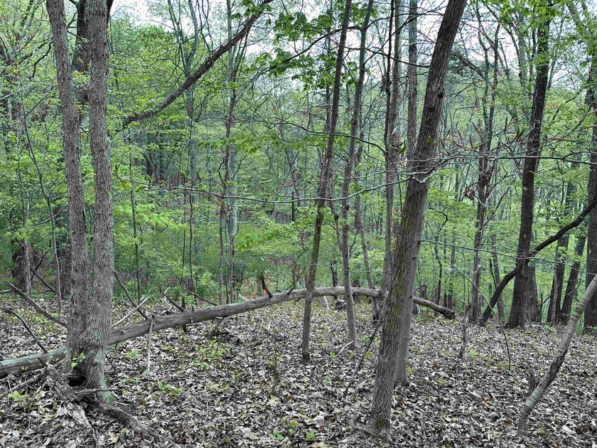 **MOTIVATED SELLERS**Ideal recreational location, 0.60 mile to - photo 5