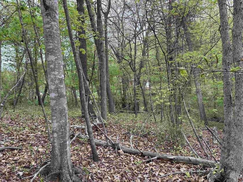 **MOTIVATED SELLERS**Ideal recreational location, 0.60 mile to - photo 6
