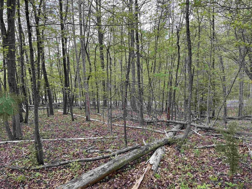 **MOTIVATED SELLERS**Ideal recreational location, 0.60 mile to - photo 7