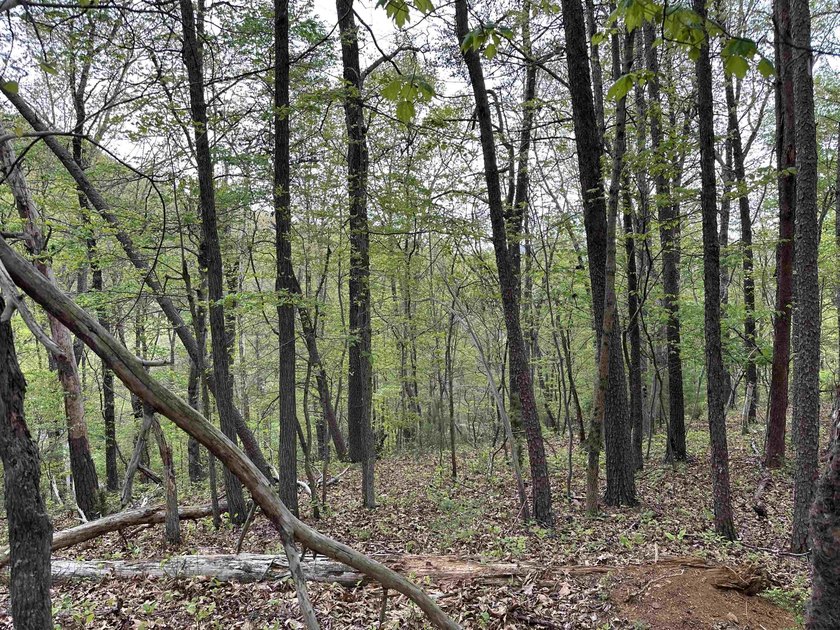 **MOTIVATED SELLERS**Ideal recreational location, 0.60 mile to - photo 8