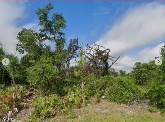 VERY AFFORDABLE LOT!! . Beautifully Area...Nice .23 acre high - photo 6