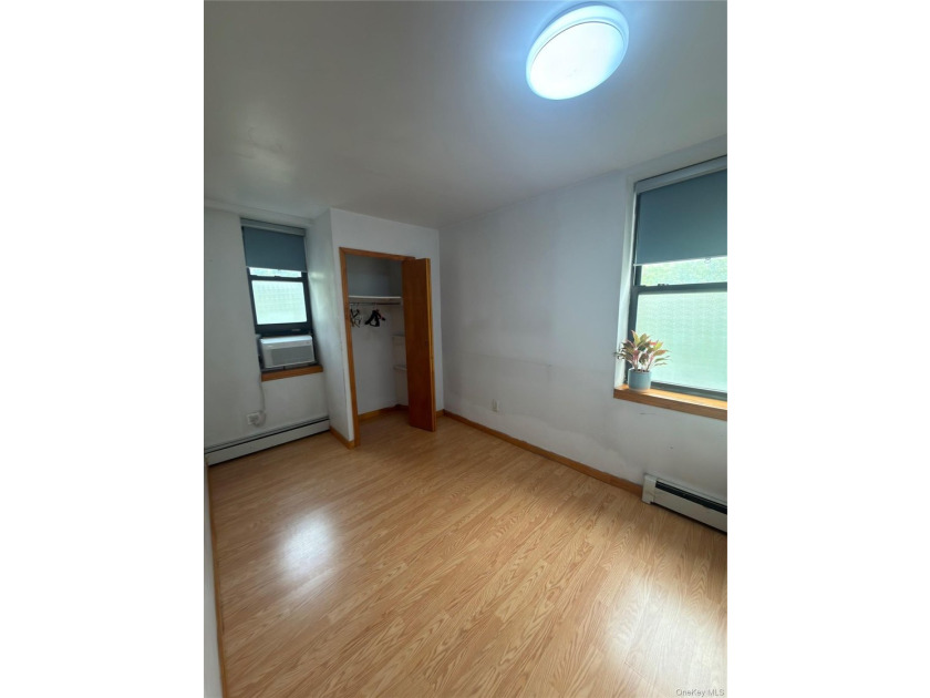 Experience timeless Brooklyn charm with modern city convenience - photo 4