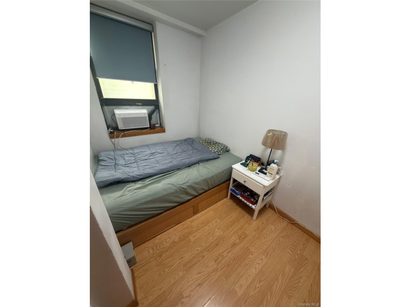Experience timeless Brooklyn charm with modern city convenience - photo 5