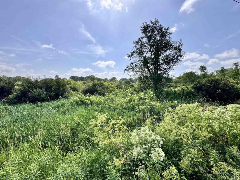 If you've been searching for an affordable recreational property - photo 8