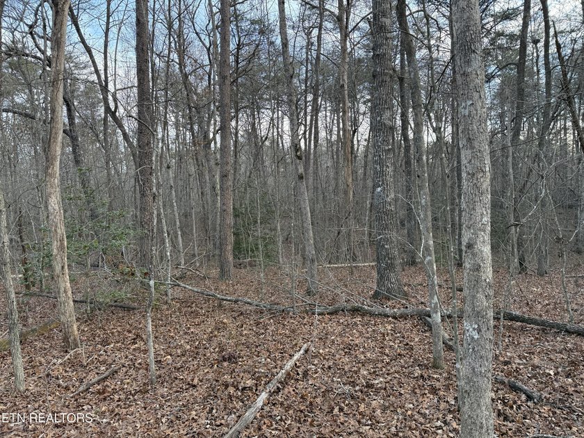 Beautiful wooded 1.5Acre lot in the Quiet Country Setting of - photo 2