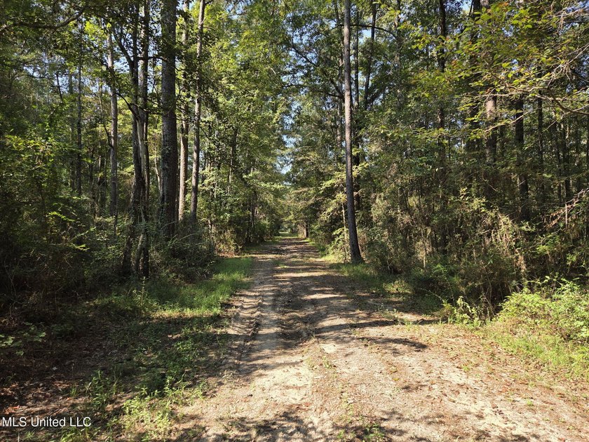 Escape to nature with this beautiful 21.79+/- acre wooded - photo 2