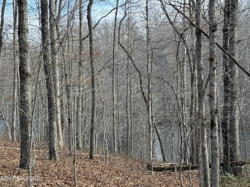 Beautiful wooded 1.5Acre lot in the Quiet Country Setting of - photo 4