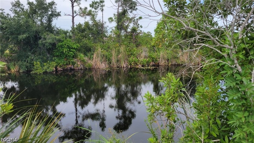 Own your own waterfront property in Cape Coral, Florida. This - photo 4