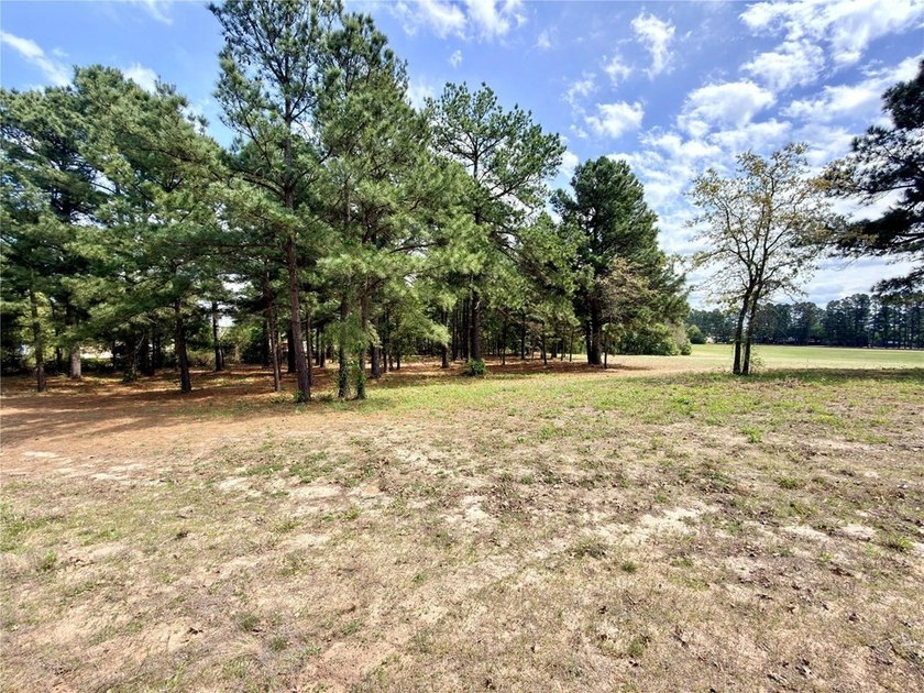 Build your custom home on 2.038 acres in Waters Edge Ranch with - photo 11