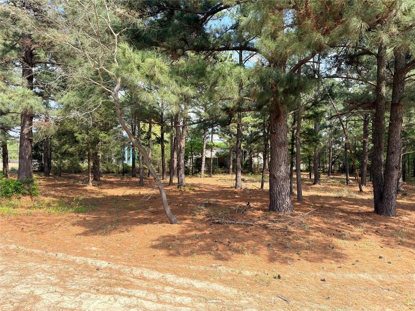 Build your custom home on 2.038 acres in Waters Edge Ranch with - photo 12