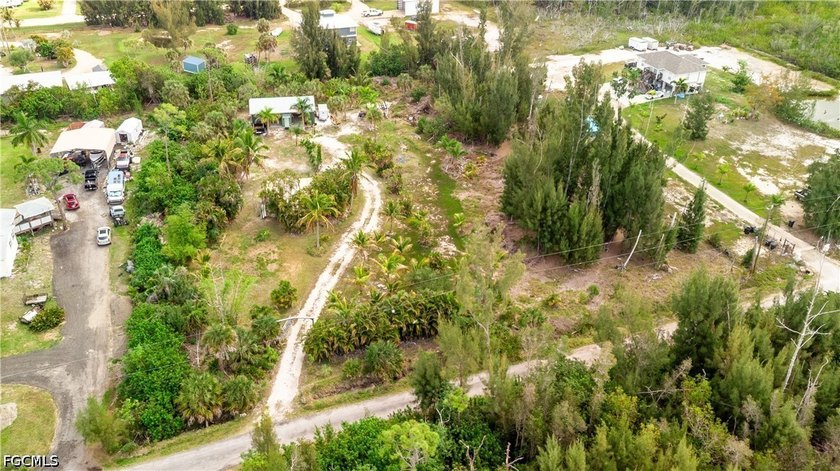 This is the one!! Your very own *Homestead Starter Kit* zoned - photo 8