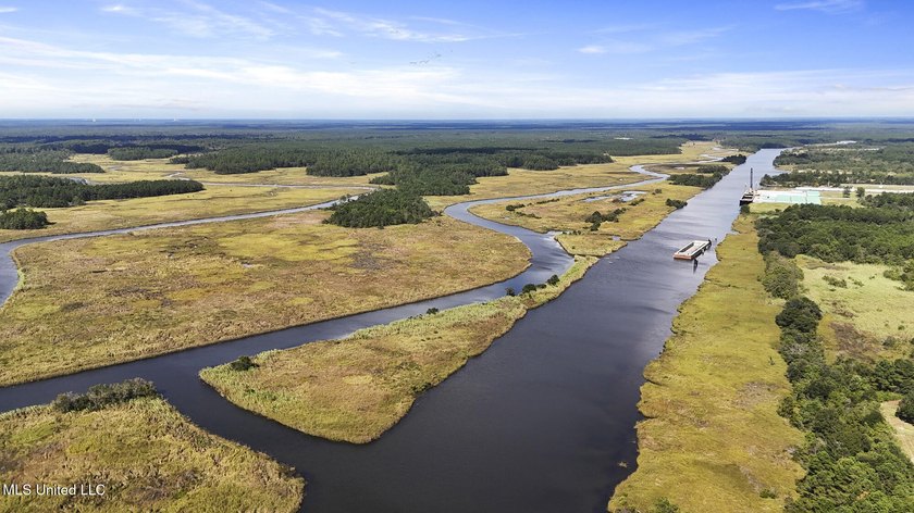 PRIME INDUSTRIAL LAND OPPORTUNITY IN PEARLINGTON, MISSISSIPPI - photo 3