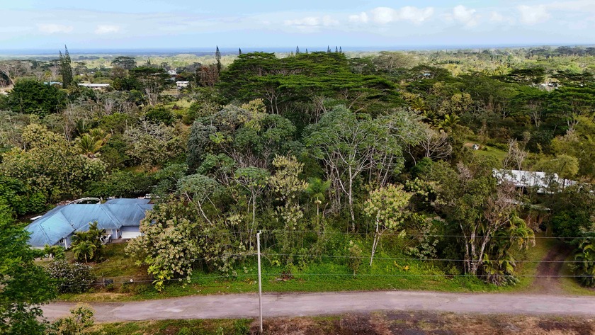 Discover the opportunity to own a spacious 2-acre vacant lot in - photo 9