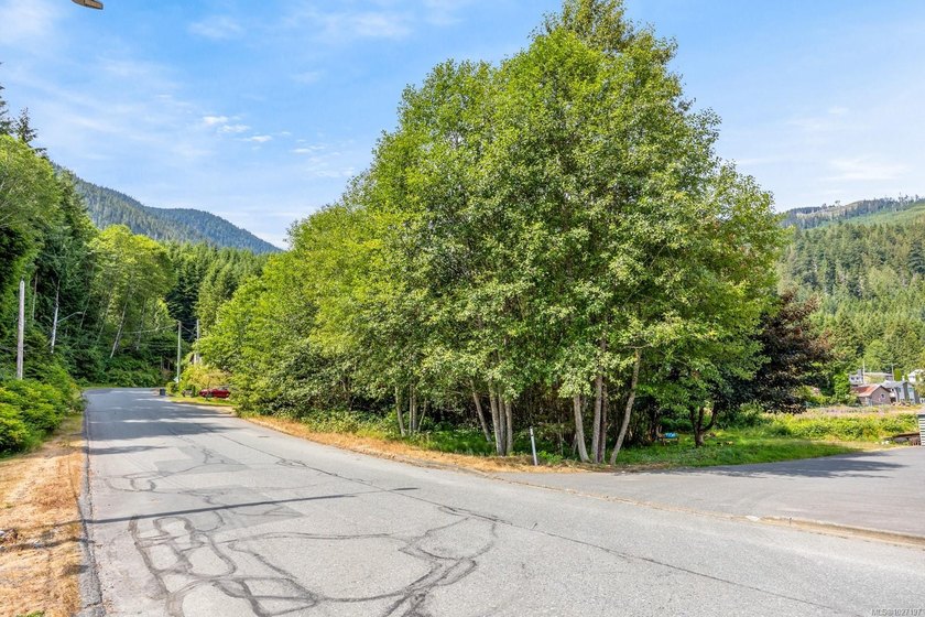 Beautiful views surround this multi-family lot in the heart of - photo 4